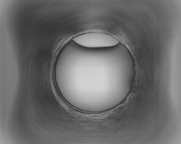 X0000112900001200908211059