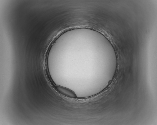 X0000112900002200908211059