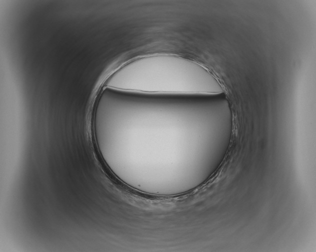 X0000112900004200908211059