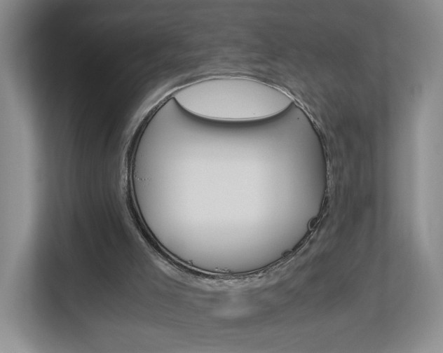X0000112900005200908211059