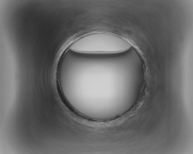 X0000112900007200908211059