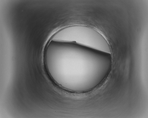 X0000112900008200908211059
