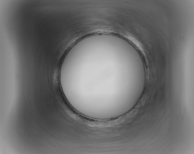X0000112900009200908211059