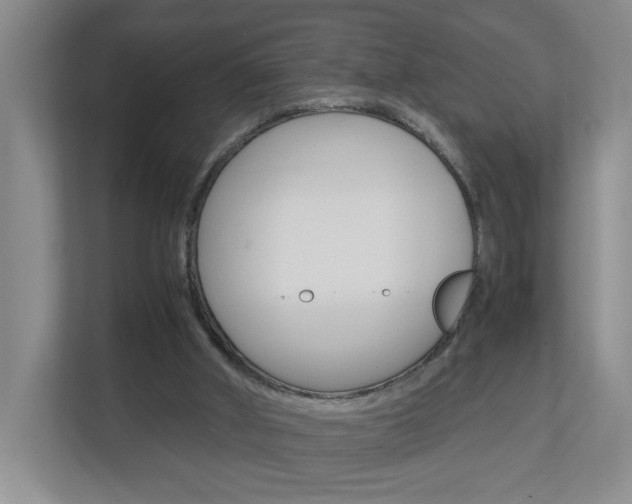 X0000112900010200908211059
