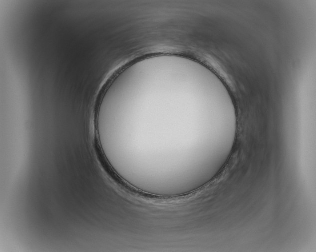 X0000112900011200908211059