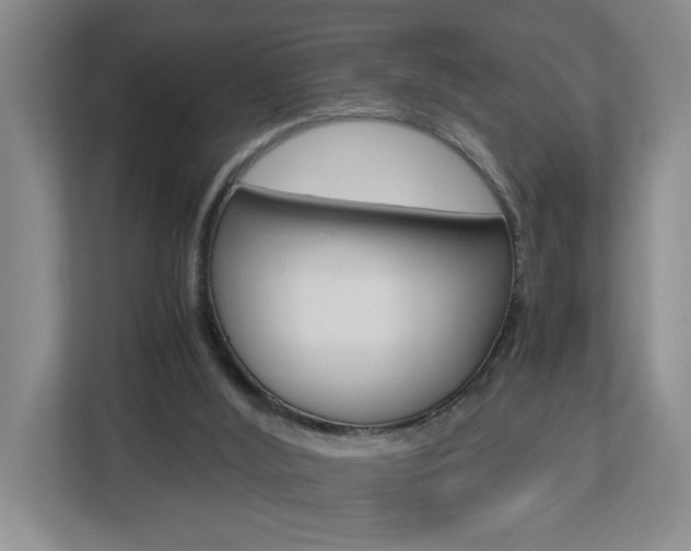 X0000112900012200908211059