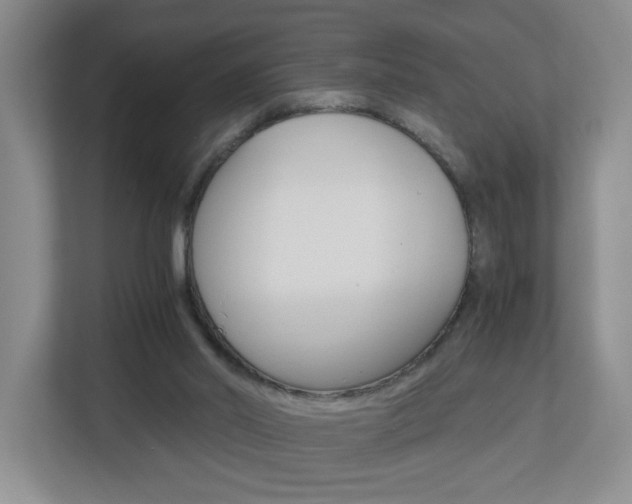 X0000112900014200908211059