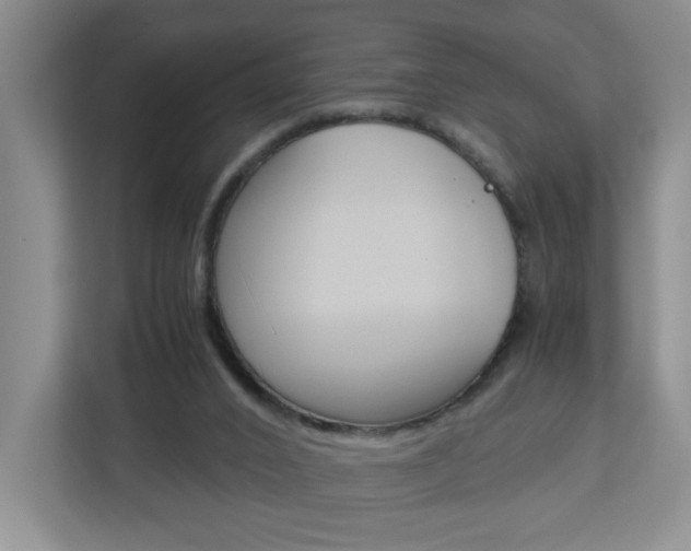 X0000112900016200908211059