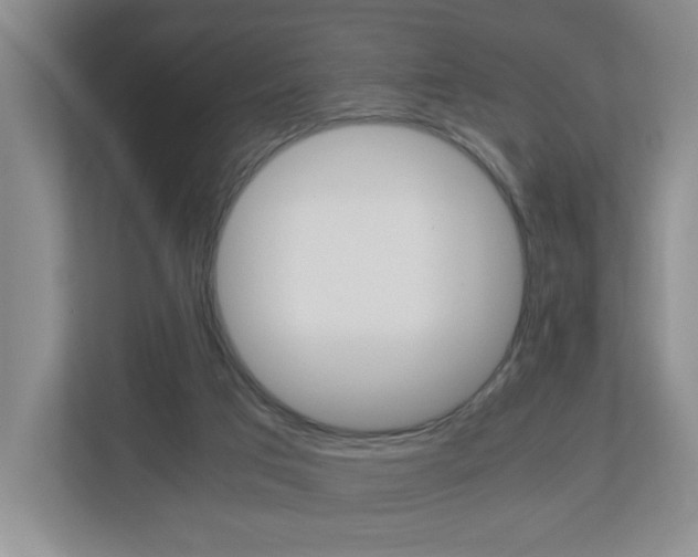 X0000112900017200908211059