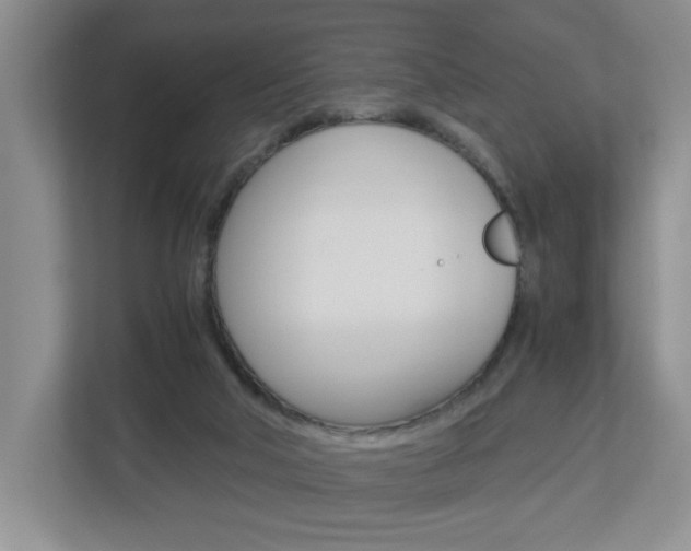 X0000112900018200908211059