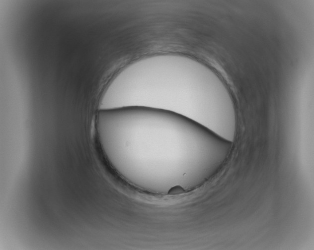 X0000112900019200908211059
