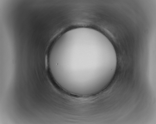 X0000112900020200908211059
