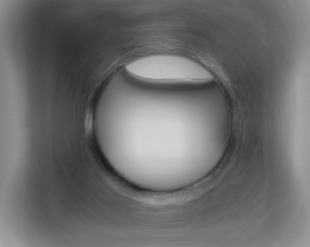 X0000112900021200908211059