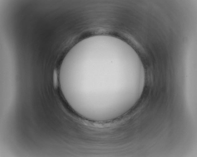 X0000112900022200908211059