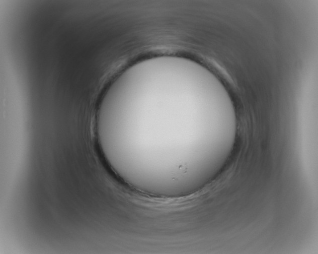 X0000112900023200908211059