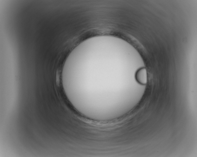 X0000112900026200908211059