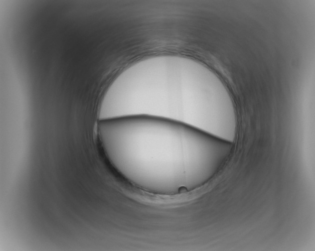 X0000112900027200908211059