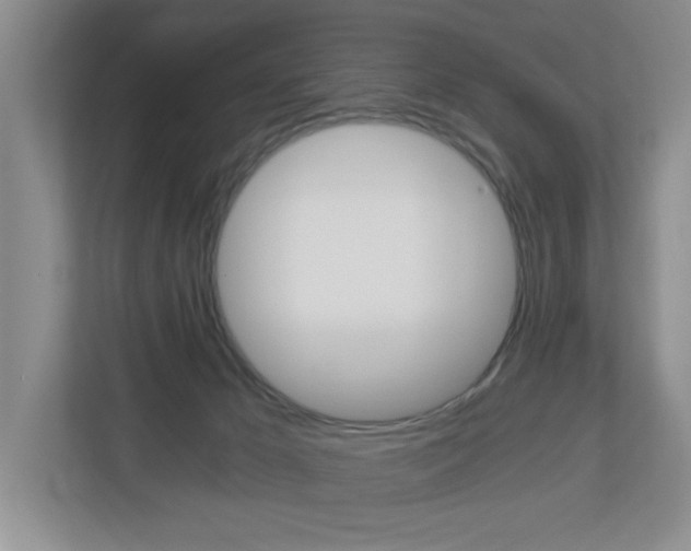 X0000112900029200908211059