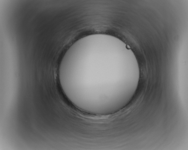 X0000112900032200908211059