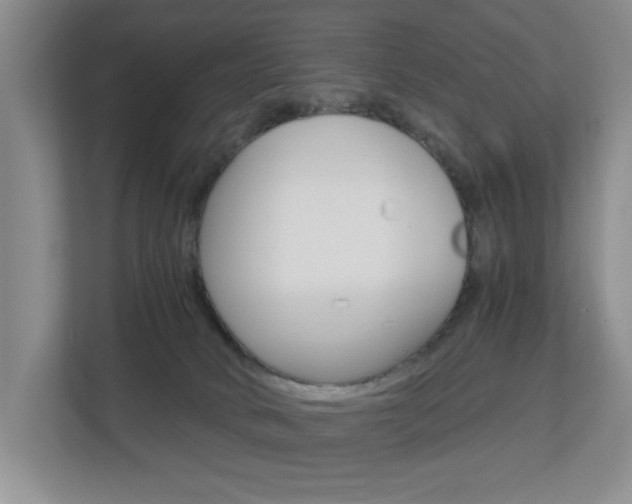 X0000112900034200908211059