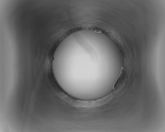 X0000112900037200908211059