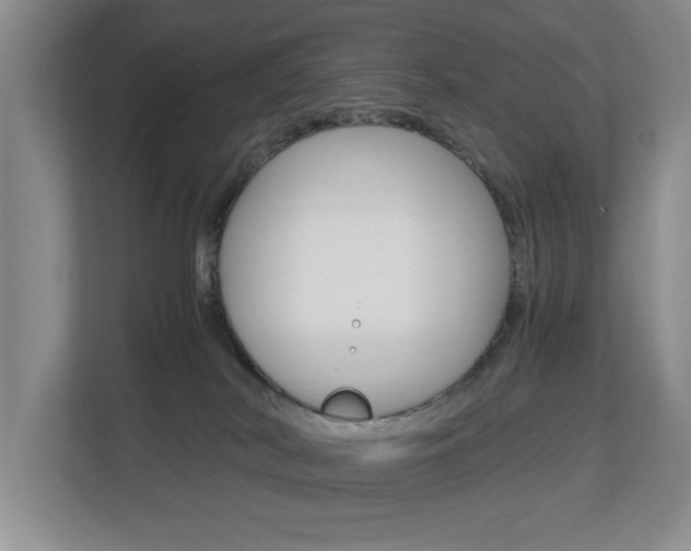 X0000112900038200908211059
