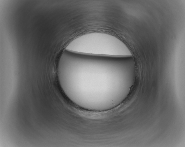 X0000112900040200908211059