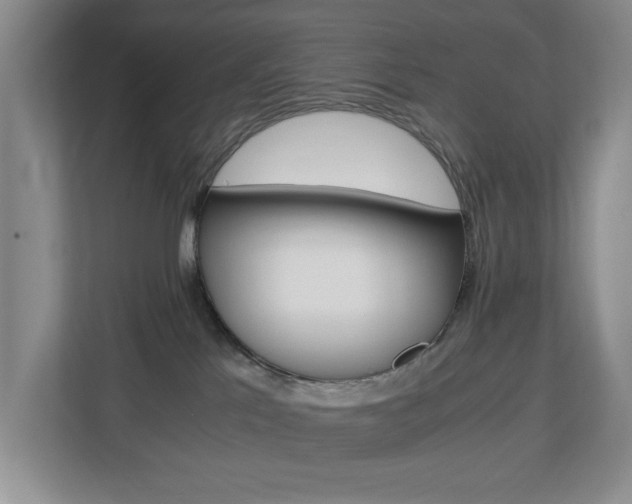 X0000112900041200908211059