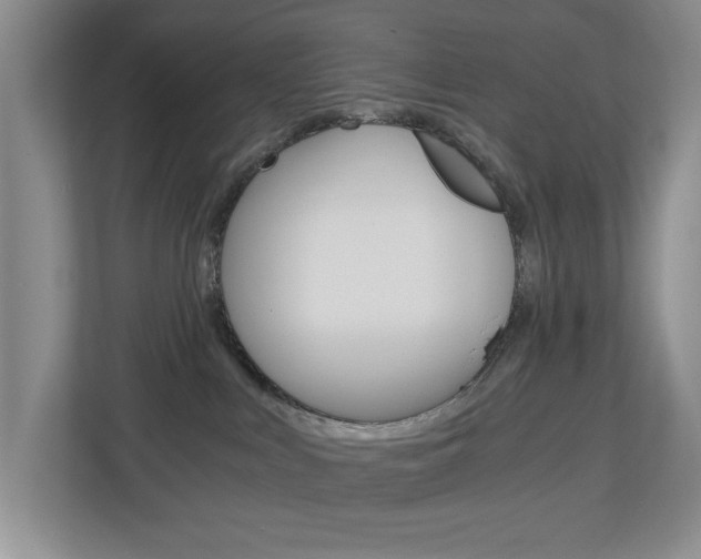 X0000112900043200908211059