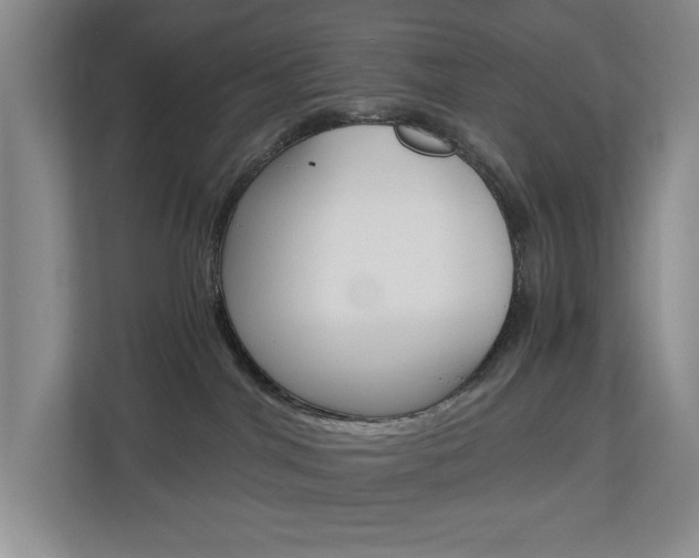 X0000112900044200908211059