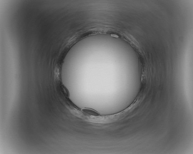X0000112900045200908211059