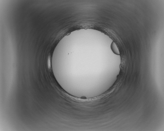 X0000112900046200908211059