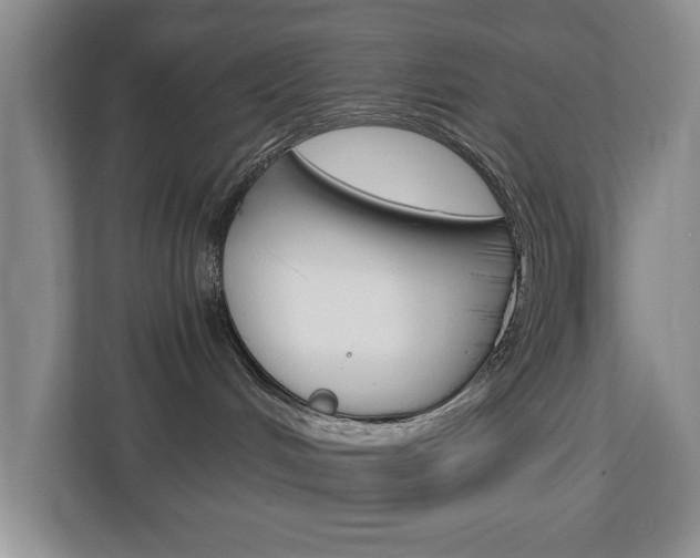 X0000112900048200908211059