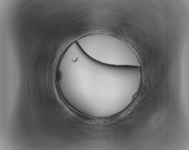 X0000112900049200908211058