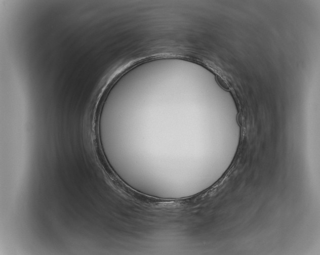 X0000112900050200908211058
