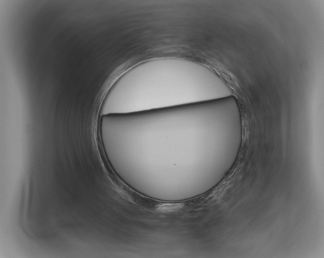 X0000112900051200908211058