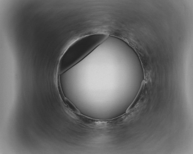 X0000112900052200908211058