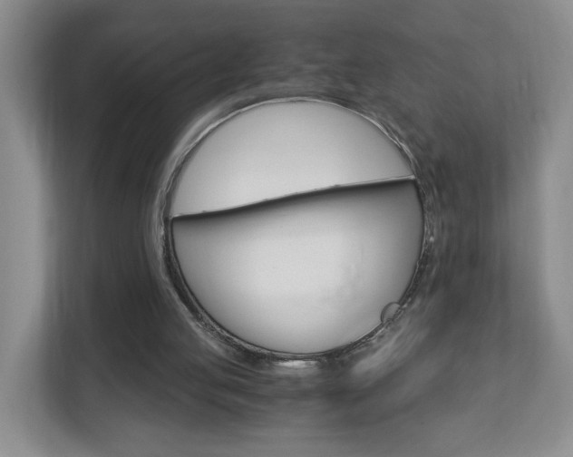 X0000112900053200908211058