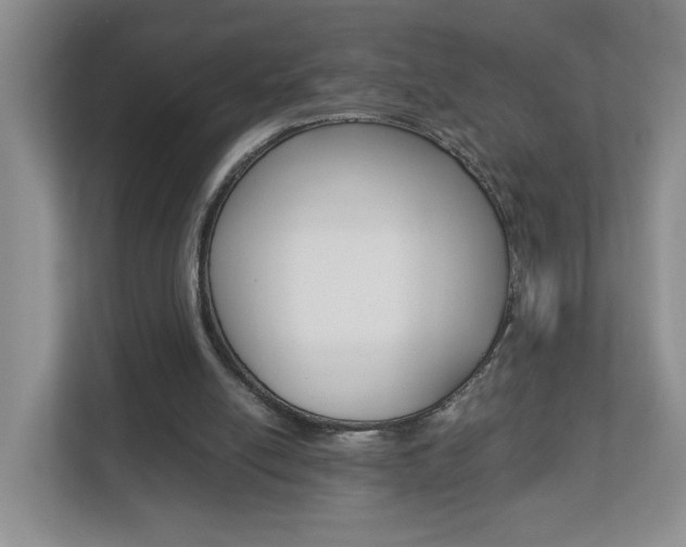X0000112900054200908211058
