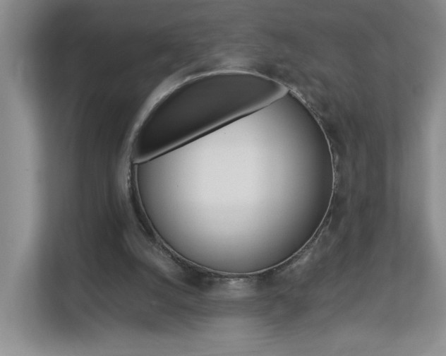 X0000112900056200908211058