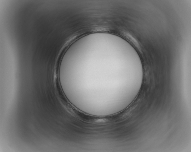 X0000112900059200908211058