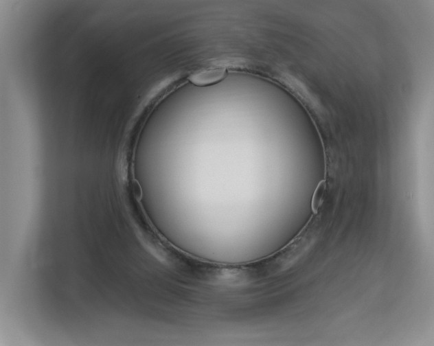 X0000112900060200908211058