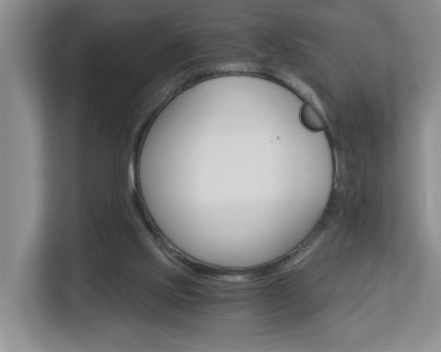 X0000112900061200908211058