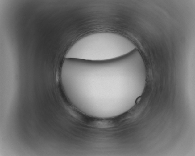 X0000112900069200908211058