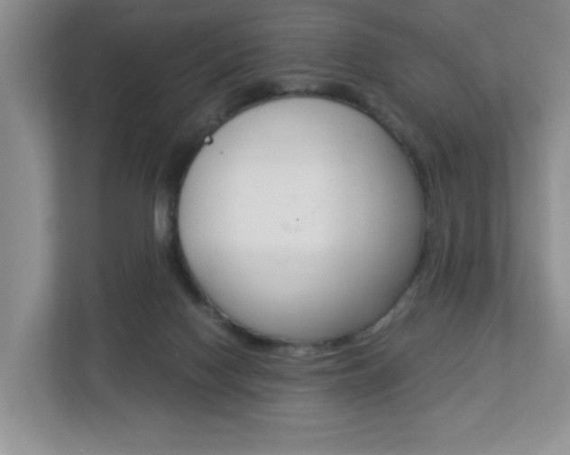 X0000112900074200908211059