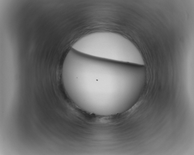 X0000112900078200908211059