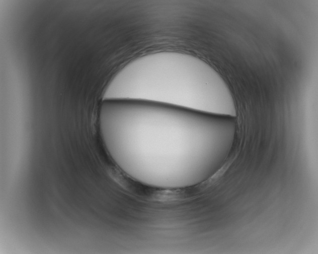 X0000112900082200908211059