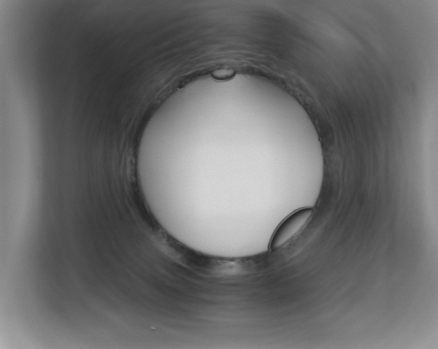 X0000112900083200908211059