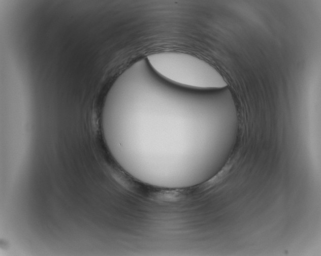 X0000112900086200908211059