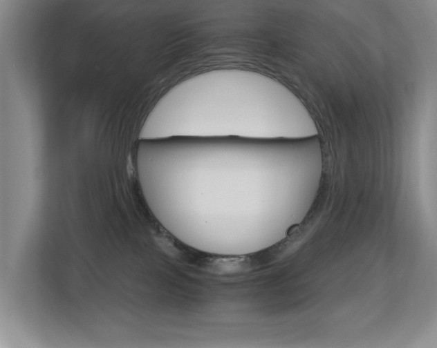 X0000112900089200908211059